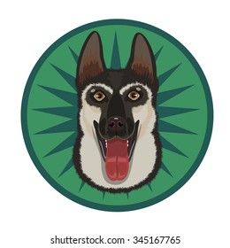 East Shepherd Dog 