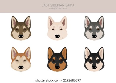 East siberian laika clipart. Different coat colors set.  Vector illustration