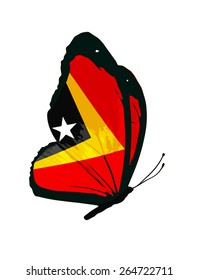 East Timor flag butterfly - vector