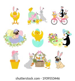 Easter animals set. Chick, rabbit, pug, penguin vector illustration on the white background.