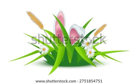 Easter background. Easter bunny ears in grass with flowers. Bunny ears with pink inner parts among green blades, white daisies, golden wheat on white. Spring festive colorful vector illustration.