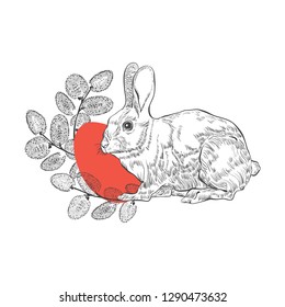 Easter background with rabbit, Pussy Willow twigs and  festive Easter egg.  Vector illustration on a white background. Perfect as a greeting card, invitation or element for design.