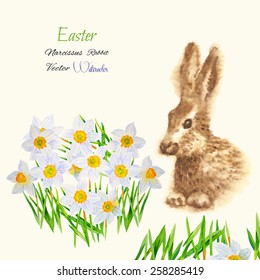 Easter background with rabbit. Vector watercolor illustration