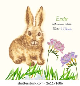 Easter background with rabbit. Vector watercolor illustration