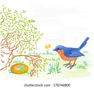 Easter bird with daffodils and easter eggs vector illustration 