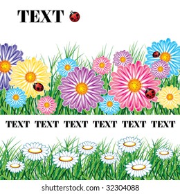 Easter Border of flowers and herbs with ladybird