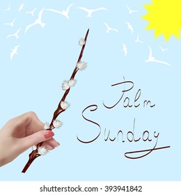  Easter branch. Pussy-willow. Verba. Palm Sunday. The spring sky with birds.
