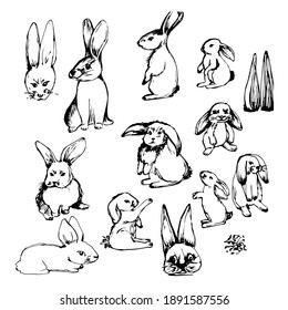 Easter bunnies, hares. Festive Easter drawing. Hand-drawn ink graphics. Cute rabbits in different poses. Isolate on white. For design, textiles, poster, design paper. Stock graphics.
