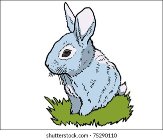 Easter bunny