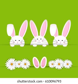 Fondo de conejo de Pascua con margaritas