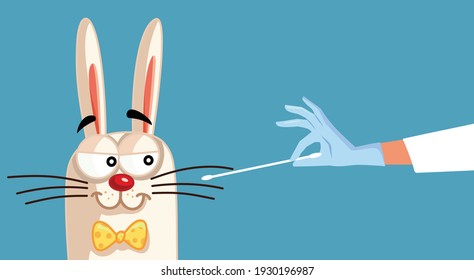 Easter Bunny Being Swabbed for a Covid-19 Test. Cute hare tests for coronavirus during springtime holidays
