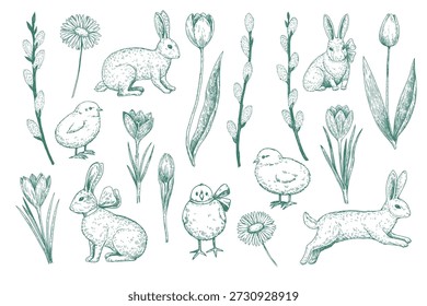 Easter bunny, easter chicken and spring flowers. Monochrome illustrations in retro engraving style.