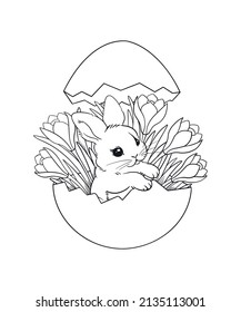 Easter bunny in a chocolate egg with spring flowers coloring one line drawn illustration of spring holiday easter, cute bunny, crocuses and snowdrops. Vector drawing for printing.