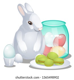 Easter bunny, colorful eggs and macaroni cakes isolated on white background. Vector cartoon close-up illustration.