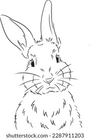 Easter Bunny. Graphic image of a rabbit in sketch style on a white background. Digital vector graphics. Easter holiday .Funny rabbit