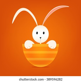 Easter bunny,  happy easter