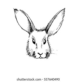 Easter bunny, Happy Easter! Vector.