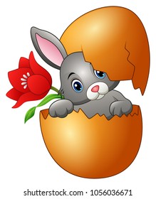 Easter bunny hatched from an egg with red flower