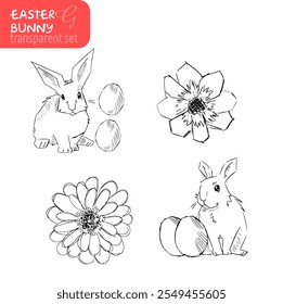 Easter Bunny Line Art Vector Illustration with Transparent Background