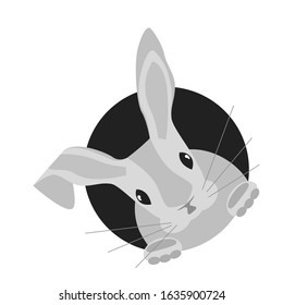Easter Bunny peeking out of a hole. Vector illustration eps 10