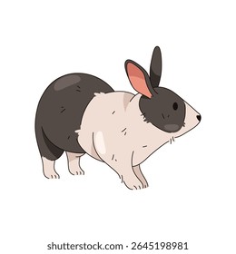 Coelhinho da Páscoa ou coelho animal. Lebre, herbívoro mamífero de madeira. Símbolo natural e emblema zoológico. Sinal de feriado de primavera ou animal de estimação da fazenda. Fauna de prados sentados. Cartaz de biologia.
