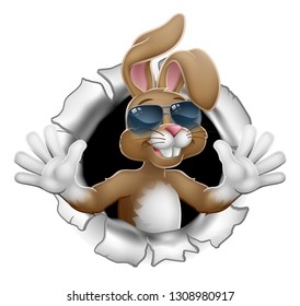 Easter bunny rabbit cartoon character in cool sunglasses or shades breaking through the background