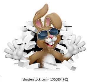 Easter bunny rabbit cartoon character in cool sunglasses or shades breaking through the background wall 