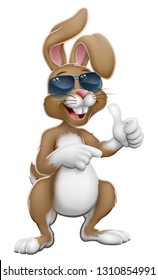 Easter bunny rabbit cartoon character in cool sunglasses or shades giving a thumbs up and pointing