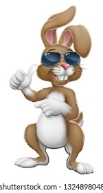 Easter bunny rabbit cartoon character in cool sunglasses or shades giving a thumbs up and pointing