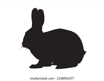 Easter Bunny Rabbit Illustration Vector Graphics Image for free EPS