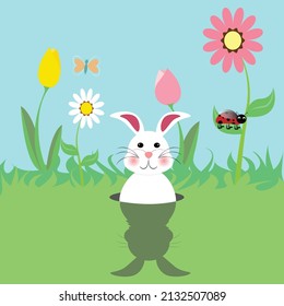 El conejito de Pascua ve su sombra