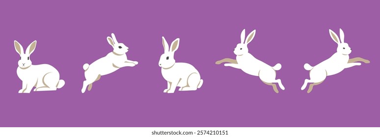 Easter bunny set. Flat style cute isolated on monochrome background. Composition. Hares and rabbits sitting and moving. Vector image. Great for Easter cards and compositions with bunnies.