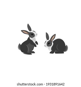 Conejos cortos con fondo blanco