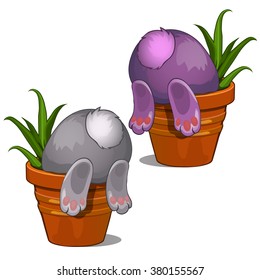 The Easter Bunny is sticking out of the pot. Sample greeting cards, humorous poster, invitations to a party. Vector illustration.