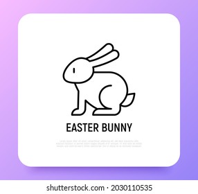Easter bunny thin line icon. Modern vector illustration.