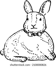 Easter bunny, vector. Animal. Vintage cute rabbit. Hand drawn ink retro illustration black