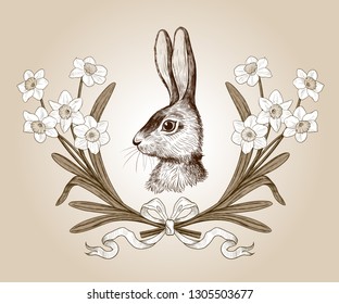 
Easter Bunny in a wreath of narcissus. Engraved design elements. Festive vintage image.Hand drawn vector illustration.Color sketch.