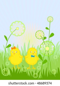 easter card with a chicks, vector