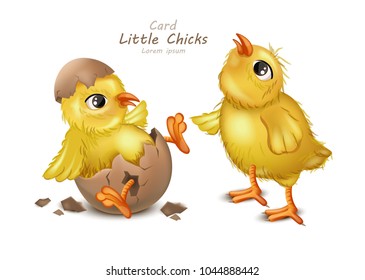 Easter card with cute Chicken Vector. cracked egg white backgrounds