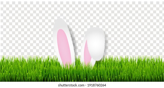 Easter Card With Easter Grass And Bunny Ears Transparent Background With Gradient Mesh, Vector Illustration