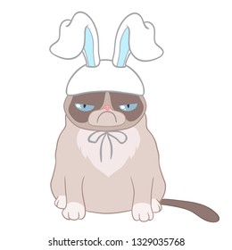 Easter cat. Holiday celebration. Easter bunny ears.
