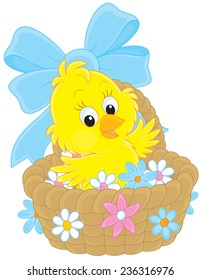 Easter Chick in a basket with flowers