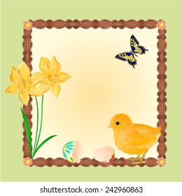 Easter chick with butterflies and daffodils frame place for text vector illustration