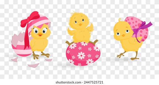 Easter chick. Chick character set isolated on png backgraund. Cute chick, spring festive animal concept. Cartoon holiday vector character