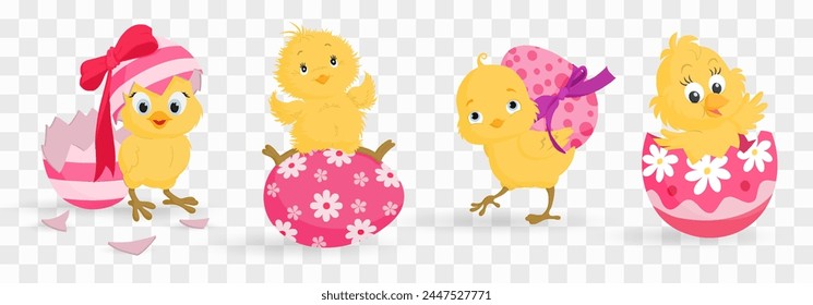 Easter chick. Chick character set isolated on png backgraund. Cute chick, spring festive animal concept. Cartoon holiday vector character