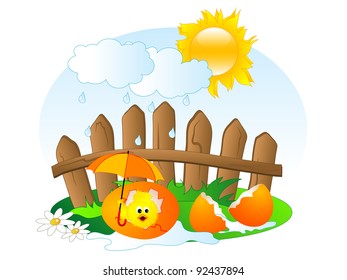 Easter chick in the egg