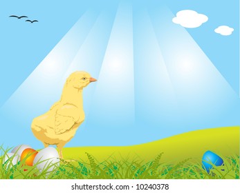 easter chick with eggs on grass at outdoor vector illustration abstract background