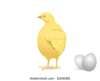 easter chick and eggs vector illustration