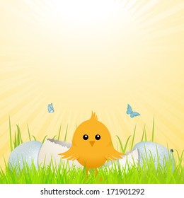 Easter Chick in front of Broken egg on spring Background with Butterflies