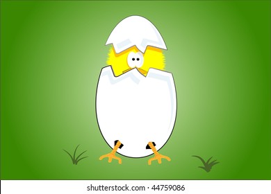 A Easter chick scared to come out if his shell
